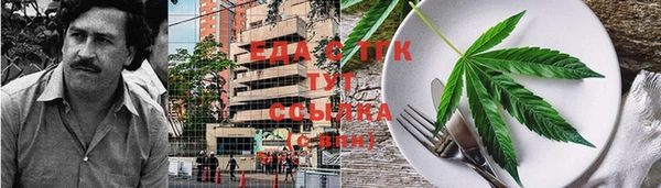 стаф Абаза