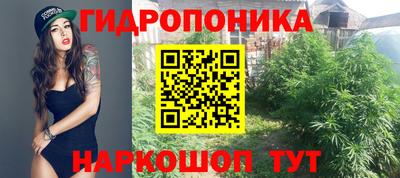 Альфа ПВП Ставрополь