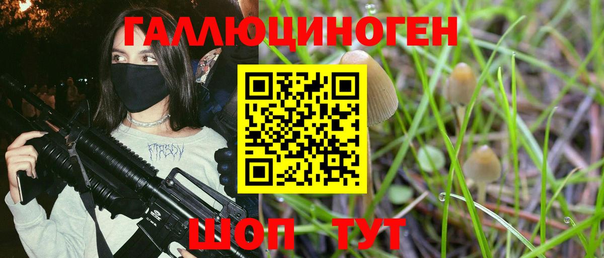Псилоцибиновые грибы мицелий  Вход с VPN  Новотроицк 