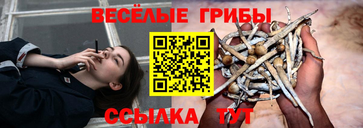 Псилоцибиновые грибы ЛСД Новотроицк